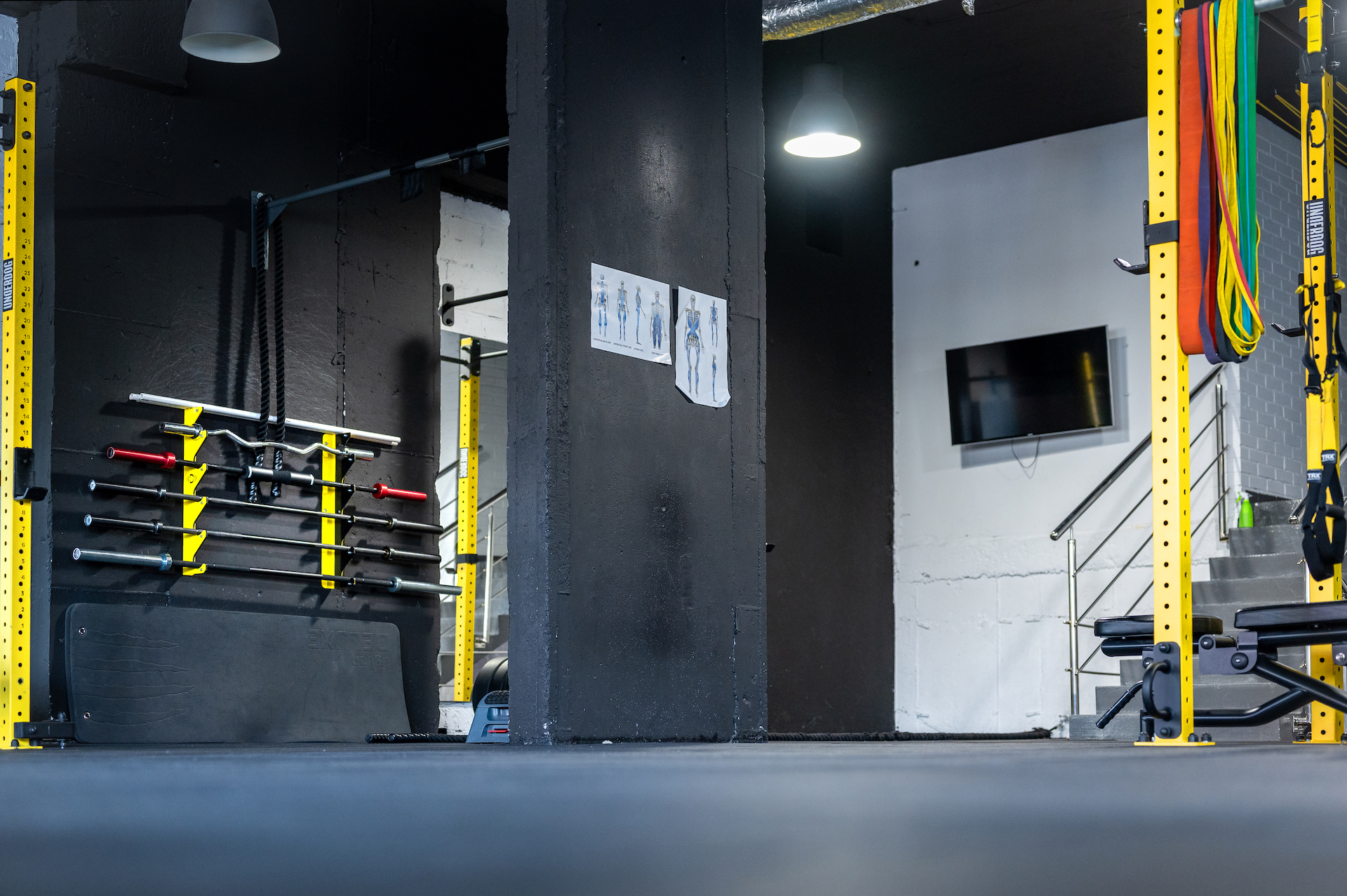 Studio 8